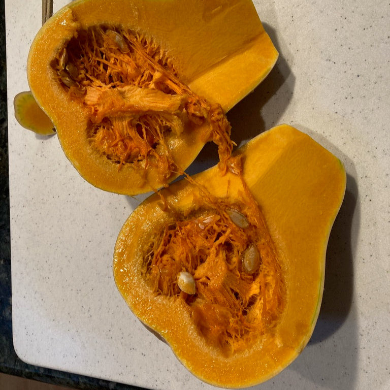 Squash - Moschata (Canada)