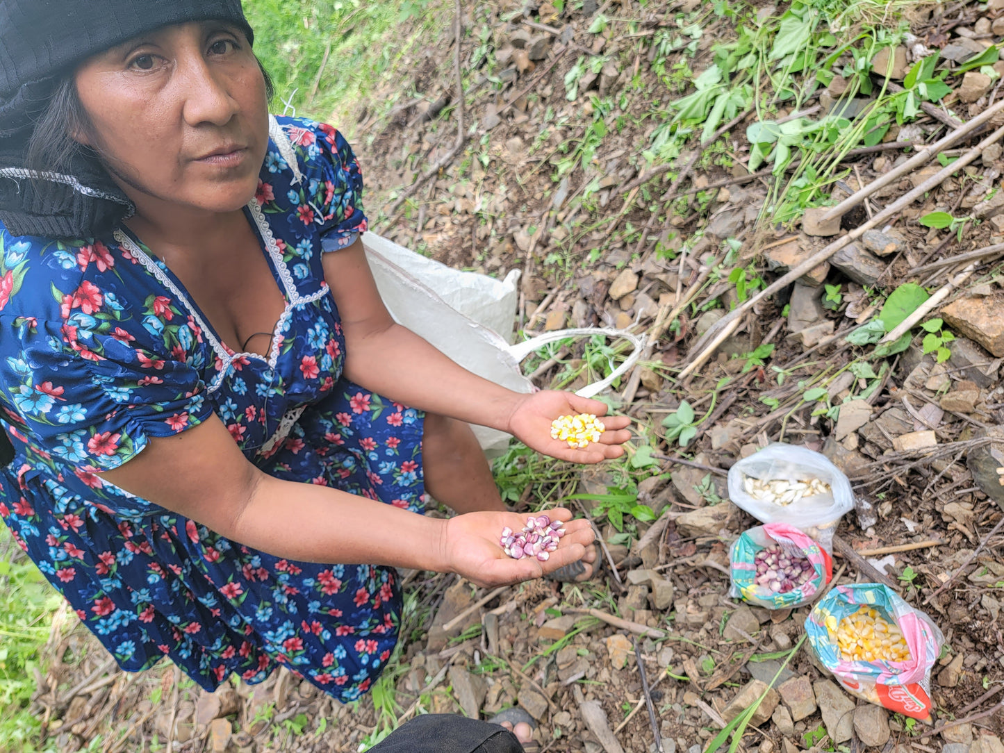 Center of Origin: Traditional Farming Methods in Southern Mexico