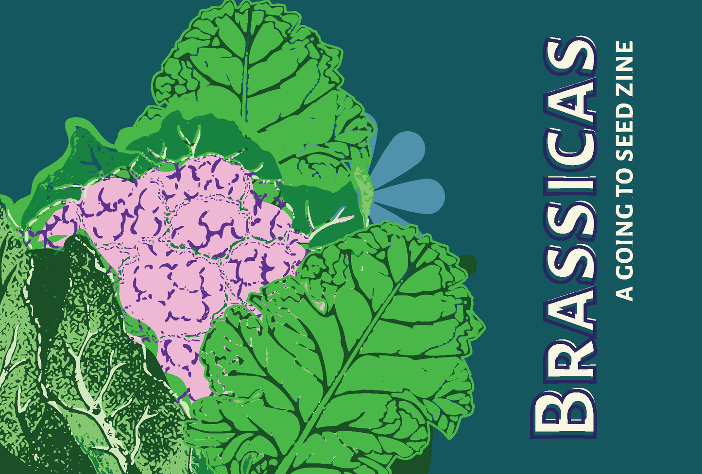 Brassica Zine Kit