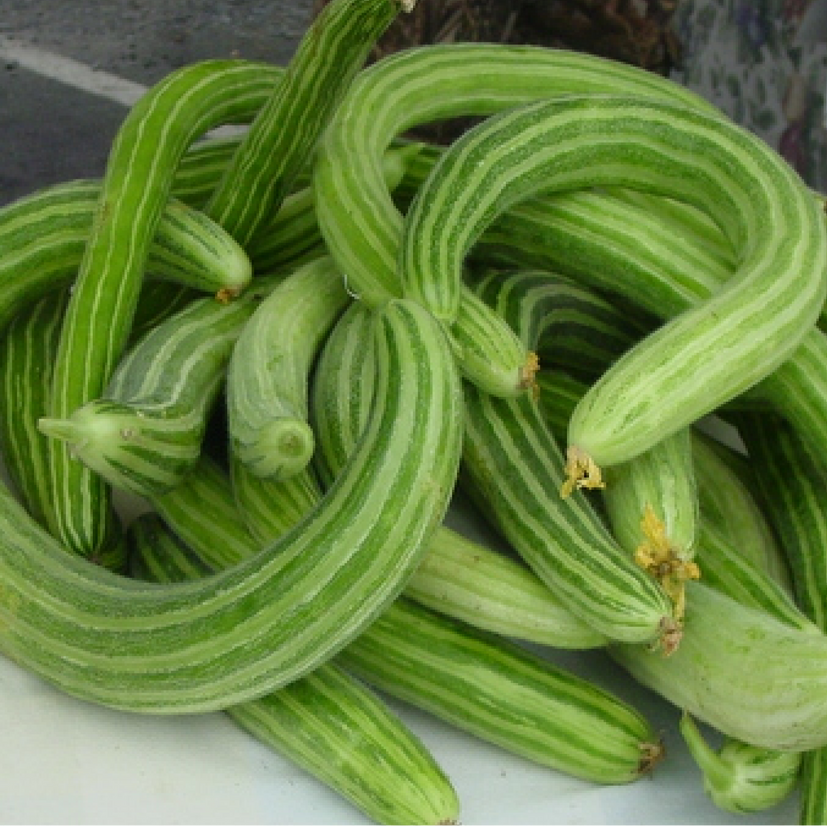 Cucumber (Canada)