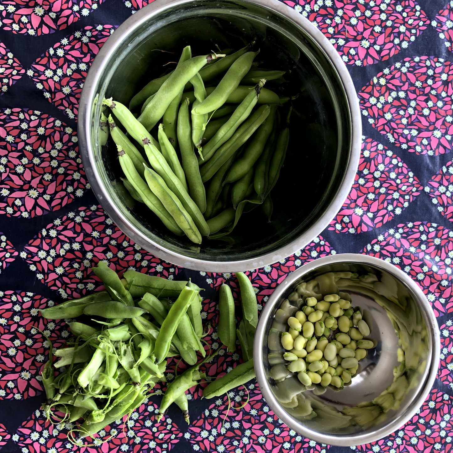 Fava Bean