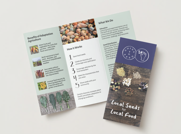 Brochure - Pack of 20