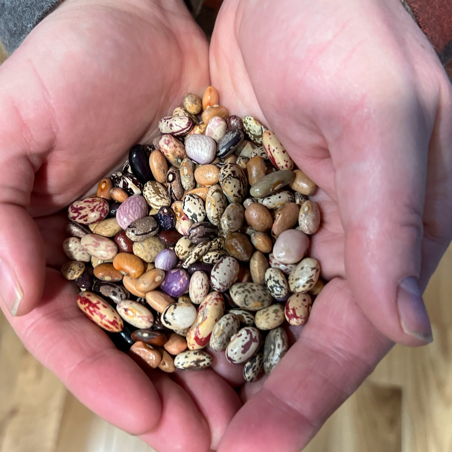 Bean, Common