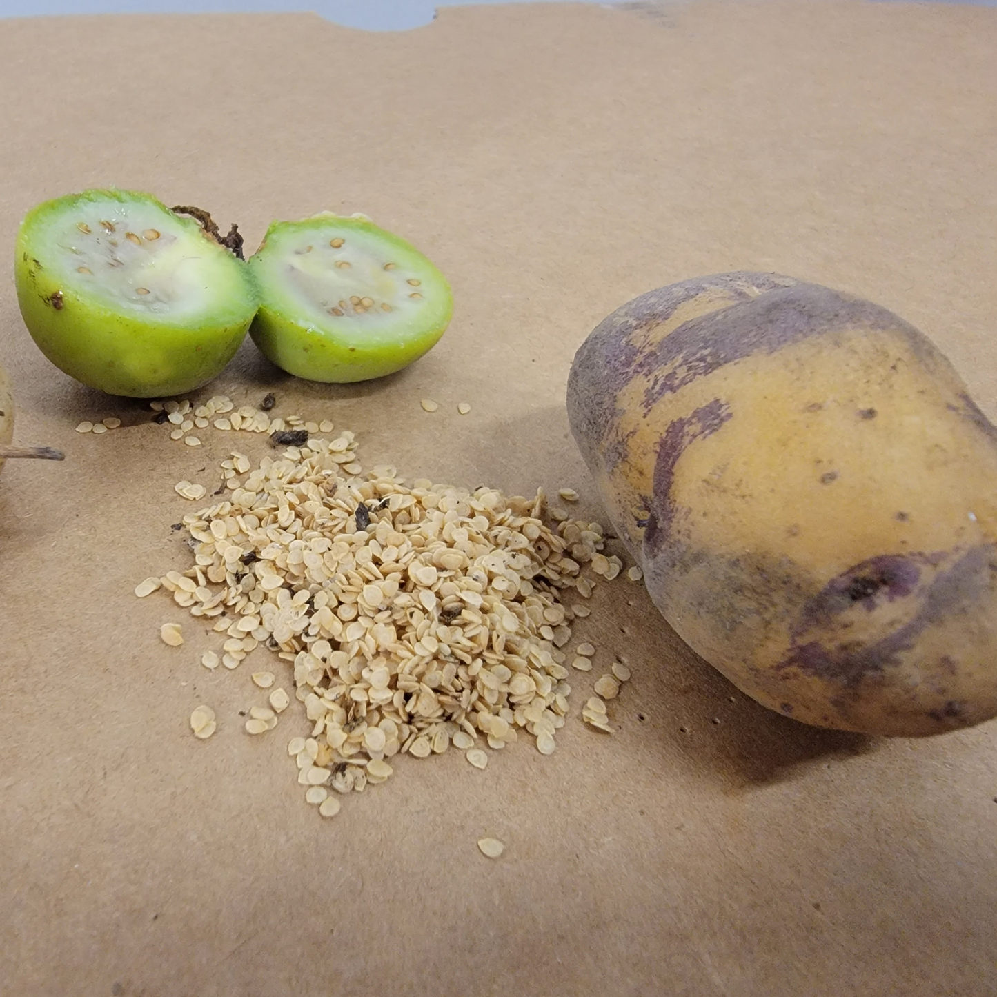 Potato