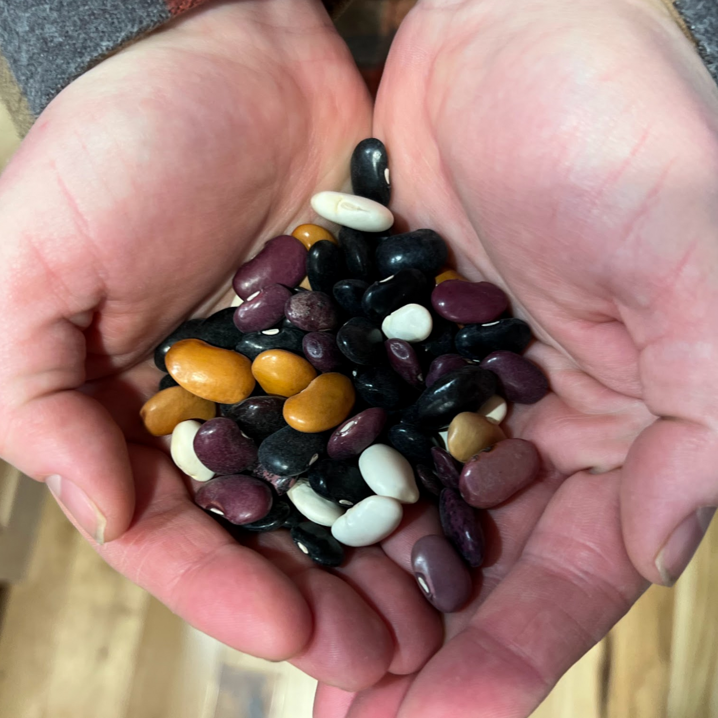 Bean, Runner