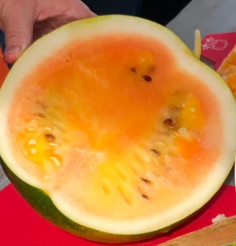 Watermelon (Canada)