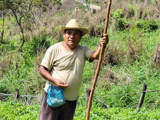 Embracing Ancestral Wisdom in Modern Gardens