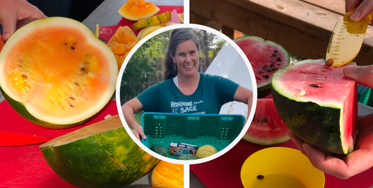 Evalisa's Ontario Watermelon Project