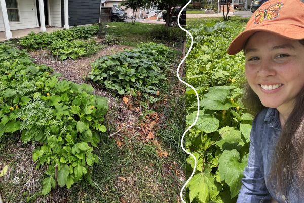 Reconnecting through Seeds