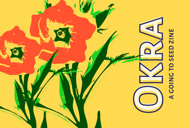 Okra Zine Kit