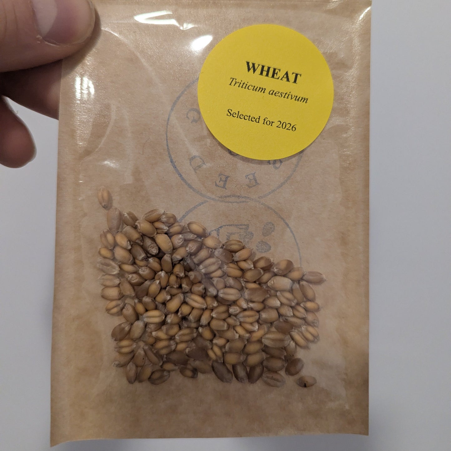 Wheat (Canada)
