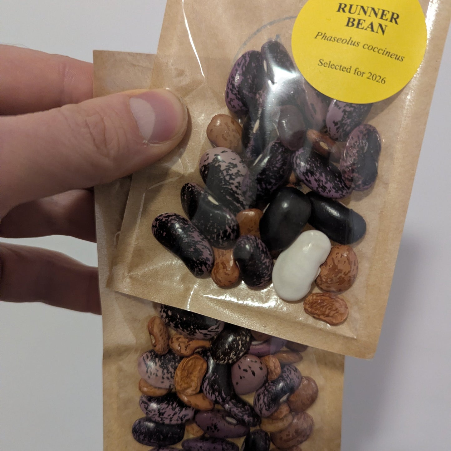 Beans, Runner (Canada)