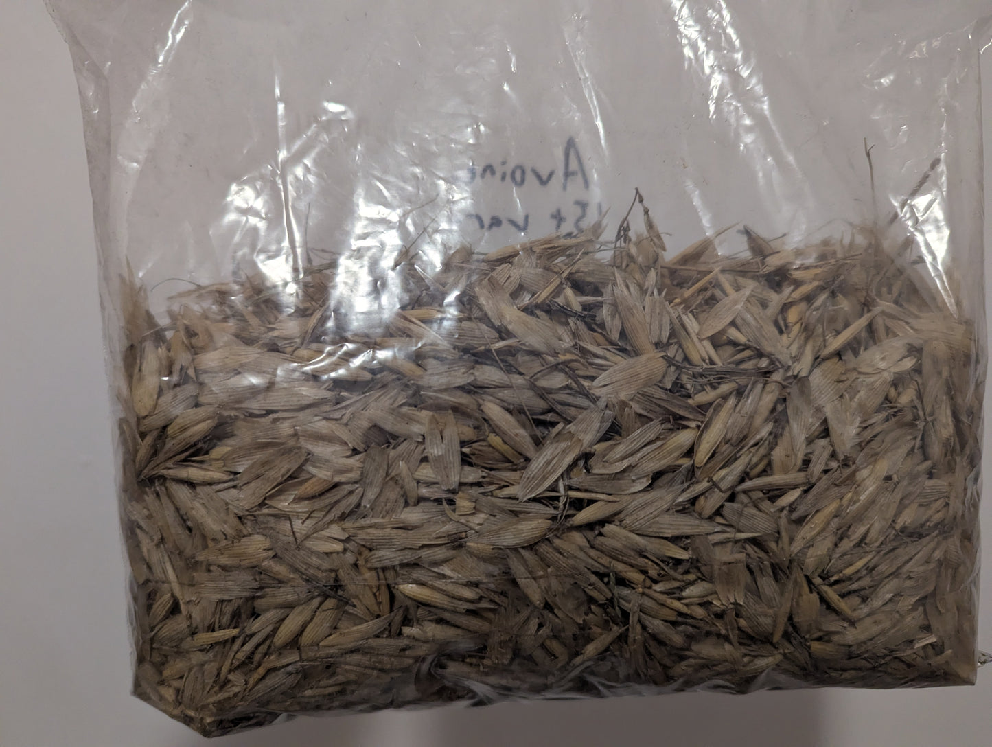 Serendipity Box (Canada)