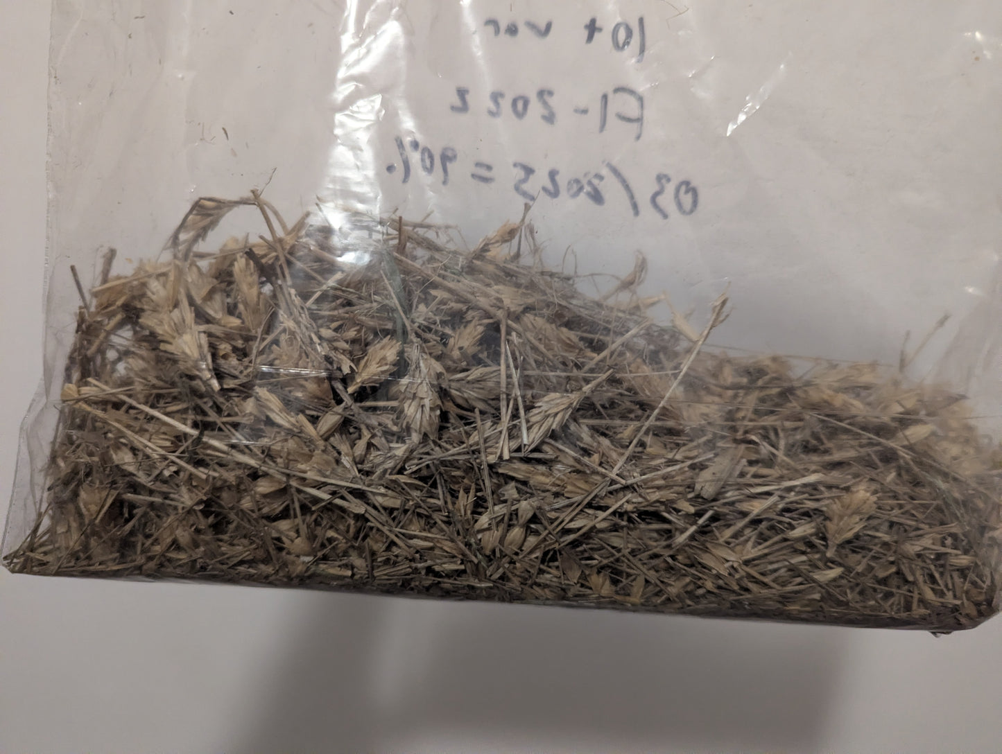 Serendipity Box (Canada)