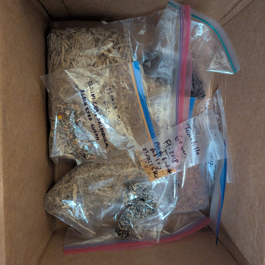 Serendipity Box (Canada)