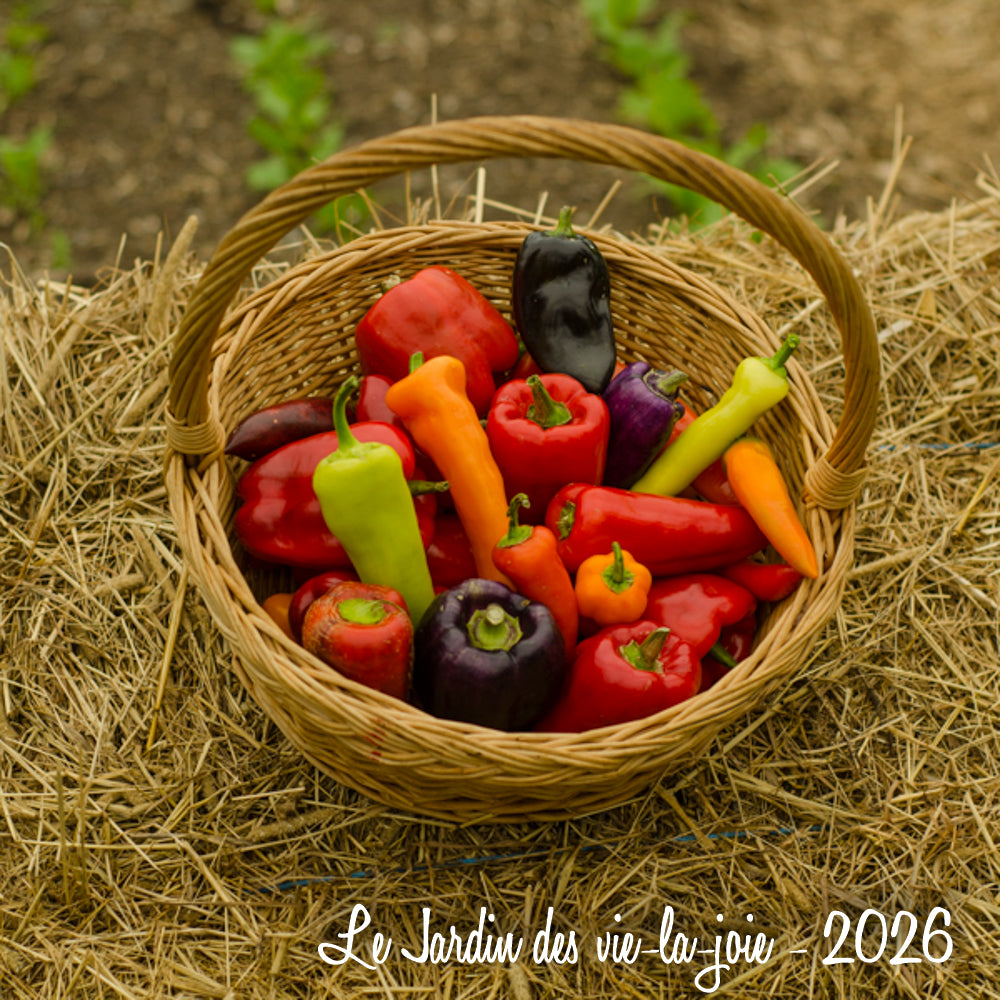 Peppers, Sweet (Canada)