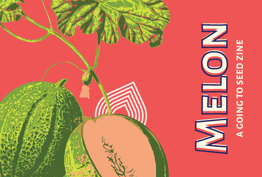 Melon Zine Kit