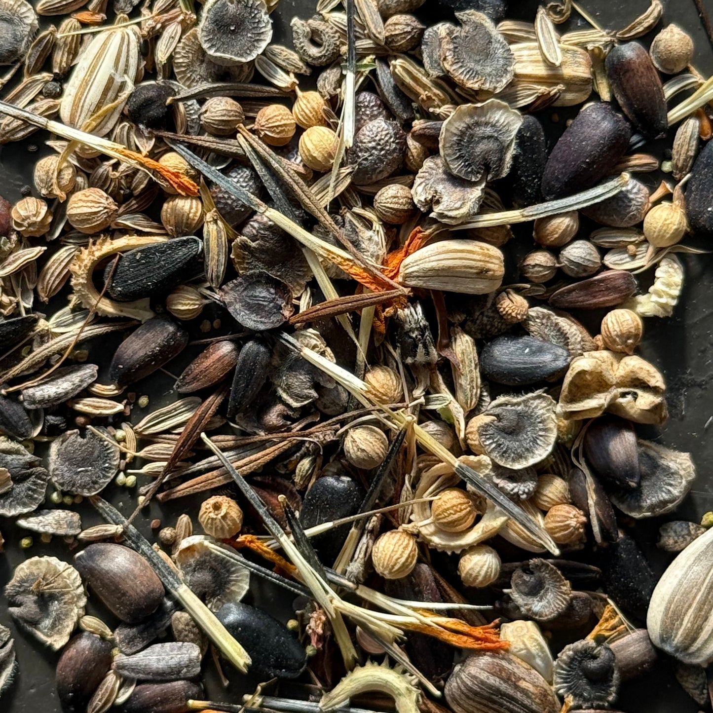 Pollinator Party