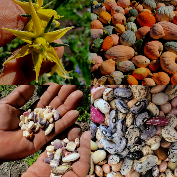 Landrace Gardening